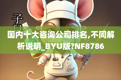 国内十大咨询公司排名,不同解析说明_BYU版?NF8786