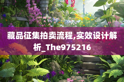 藏品征集拍卖流程,实效设计解析_The975216