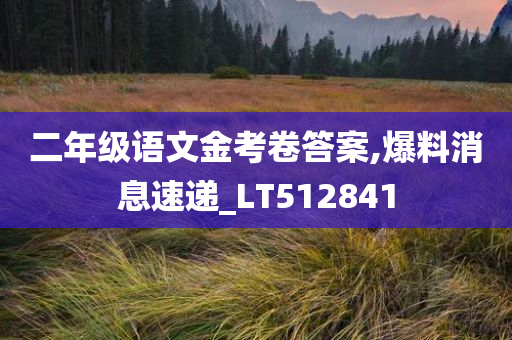 二年级语文金考卷答案,爆料消息速递_LT512841