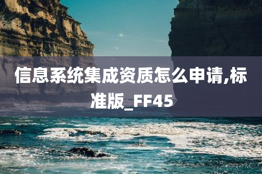 信息系统集成资质怎么申请,标准版_FF45