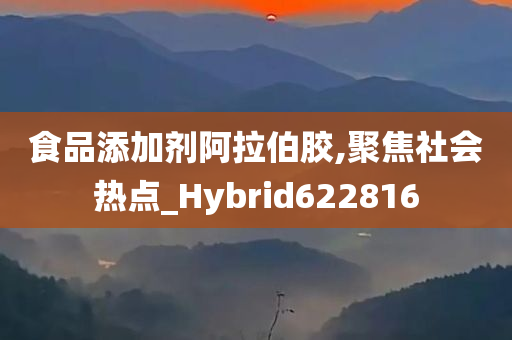 食品添加剂阿拉伯胶,聚焦社会热点_Hybrid622816