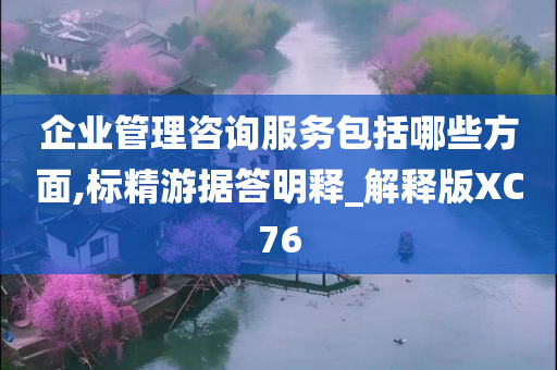 企业管理咨询服务包括哪些方面,标精游据答明释_解释版XC76