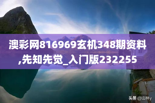 澳彩网816969玄机348期资料,先知先觉_入门版232255