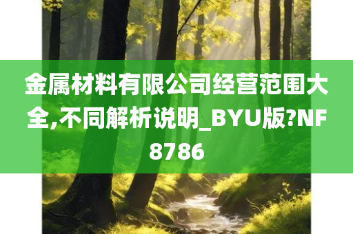 金属材料有限公司经营范围大全,不同解析说明_BYU版?NF8786