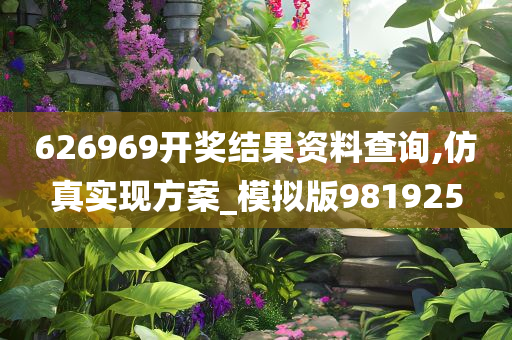 626969开奖结果资料查询,仿真实现方案_模拟版981925