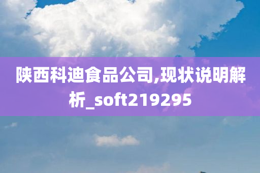 陕西科迪食品公司,现状说明解析_soft219295