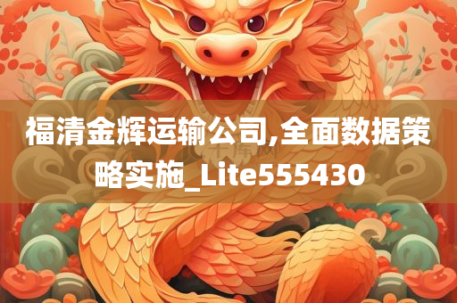 福清金辉运输公司,全面数据策略实施_Lite555430