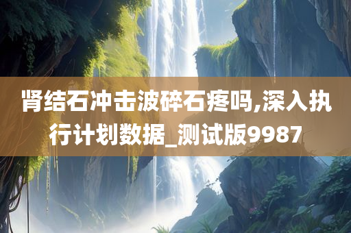 肾结石冲击波碎石疼吗,深入执行计划数据_测试版9987