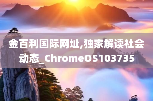 金百利国际网址,独家解读社会动态_ChromeOS103735