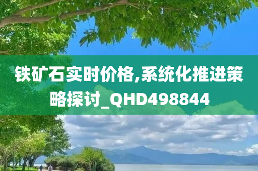 铁矿石实时价格,系统化推进策略探讨_QHD498844