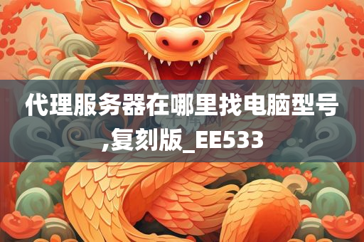 代理服务器在哪里找电脑型号,复刻版_EE533