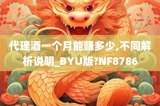 代理酒一个月能赚多少,不同解析说明_BYU版?NF8786