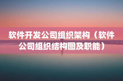 软件开发公司组织架构（软件公司组织结构图及职能）