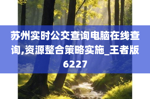 苏州实时公交查询电脑在线查询,资源整合策略实施_王者版6227