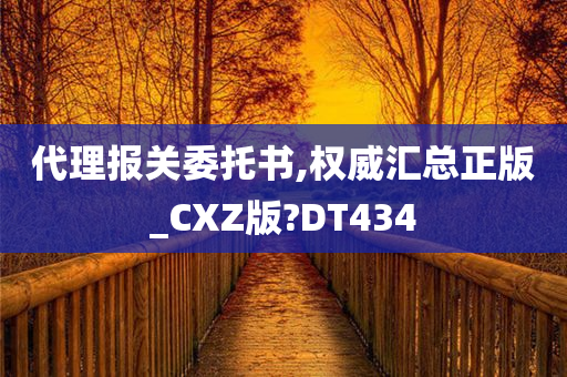 代理报关委托书,权威汇总正版_CXZ版?DT434