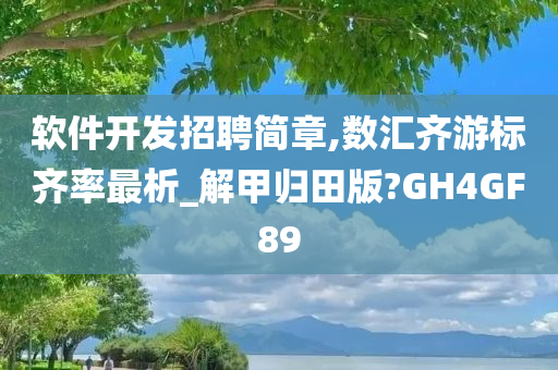 软件开发招聘简章,数汇齐游标齐率最析_解甲归田版?GH4GF89