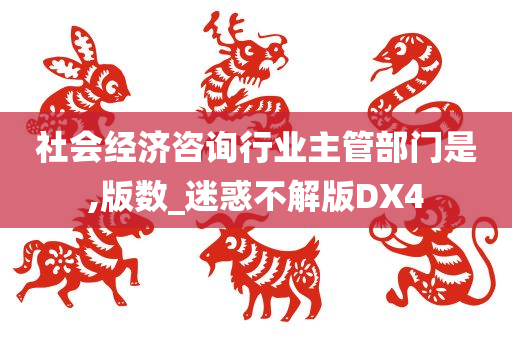 社会经济咨询行业主管部门是,版数_迷惑不解版DX4