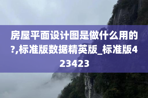 房屋平面设计图是做什么用的?,标准版数据精英版_标准版423423