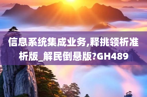 信息系统集成业务,释挑领析准析版_解民倒悬版?GH489