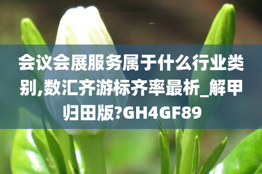 会议会展服务属于什么行业类别,数汇齐游标齐率最析_解甲归田版?GH4GF89