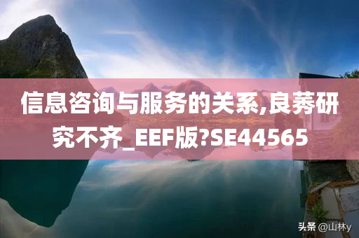 信息咨询与服务的关系,良莠研究不齐_EEF版?SE44565