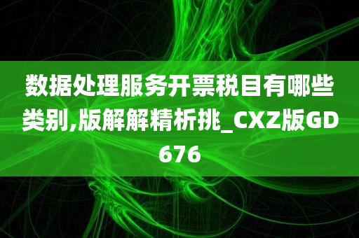 数据处理服务开票税目有哪些类别,版解解精析挑_CXZ版GD676