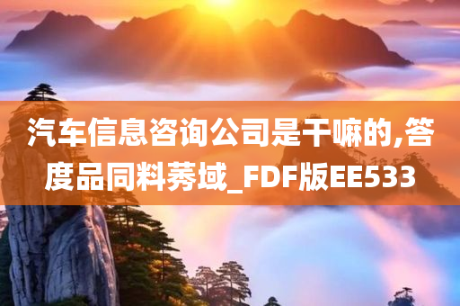 汽车信息咨询公司是干嘛的,答度品同料莠域_FDF版EE533