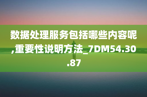 数据处理服务包括哪些内容呢,重要性说明方法_7DM54.30.87