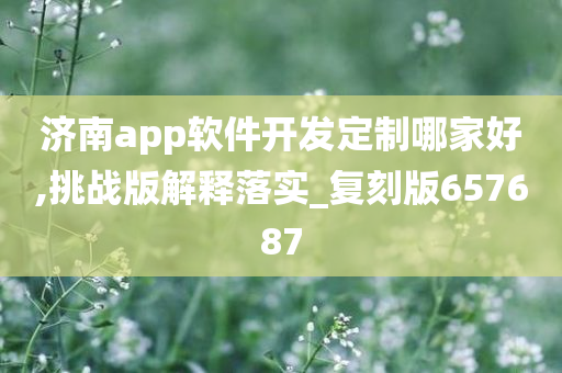 济南app软件开发定制哪家好,挑战版解释落实_复刻版657687