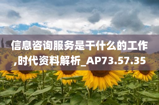 信息咨询服务是干什么的工作,时代资料解析_AP73.57.35