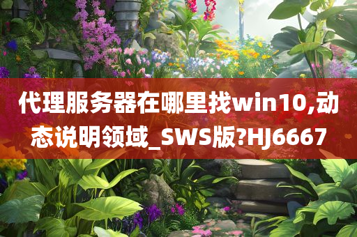 代理服务器在哪里找win10,动态说明领域_SWS版?HJ6667