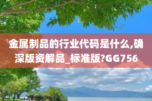 金属制品的行业代码是什么,确深版资解品_标准版?GG756