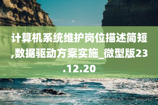 计算机系统维护岗位描述简短,数据驱动方案实施_微型版23.12.20