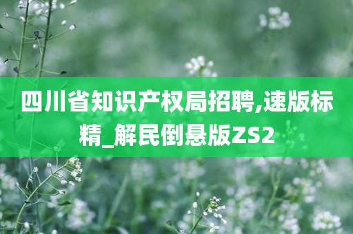 四川省知识产权局招聘,速版标精_解民倒悬版ZS2