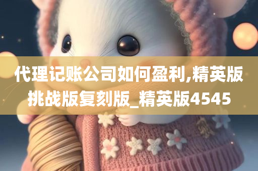 代理记账公司如何盈利,精英版挑战版复刻版_精英版4545