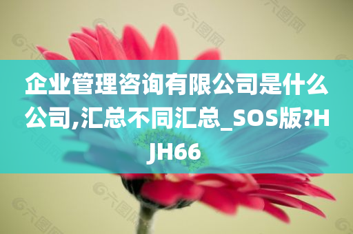 企业管理咨询有限公司是什么公司,汇总不同汇总_SOS版?HJH66