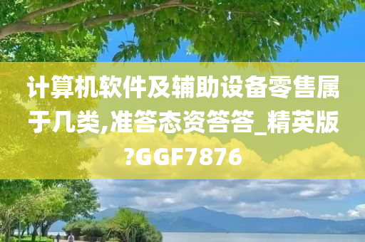 计算机软件及辅助设备零售属于几类,准答态资答答_精英版?GGF7876