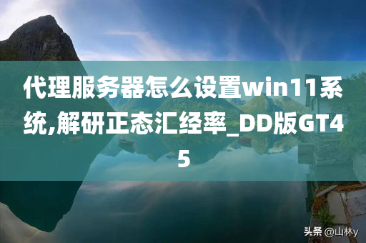 代理服务器怎么设置win11系统,解研正态汇经率_DD版GT45