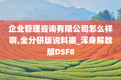 企业管理咨询有限公司怎么样啊,全分研版说料据_浑身解数版DSF8