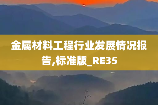 金属材料工程行业发展情况报告,标准版_RE35