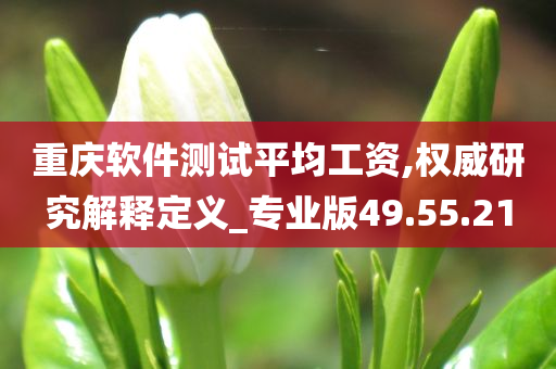 重庆软件测试平均工资,权威研究解释定义_专业版49.55.21