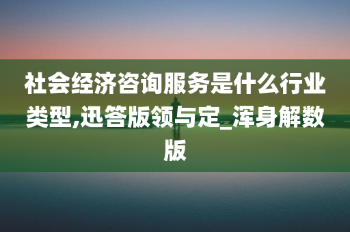 社会经济咨询服务是什么行业类型,迅答版领与定_浑身解数版