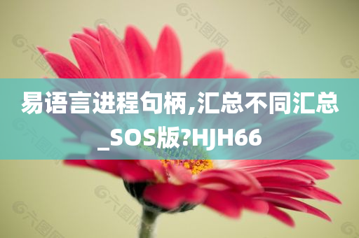 易语言进程句柄,汇总不同汇总_SOS版?HJH66