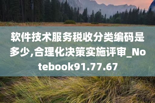 软件技术服务税收分类编码是多少,合理化决策实施评审_Notebook91.77.67