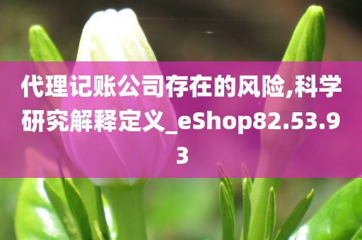 代理记账公司存在的风险,科学研究解释定义_eShop82.53.93