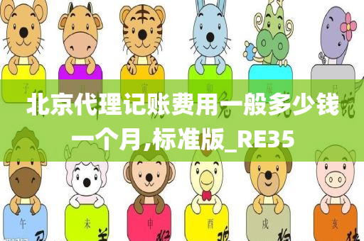 北京代理记账费用一般多少钱一个月,标准版_RE35