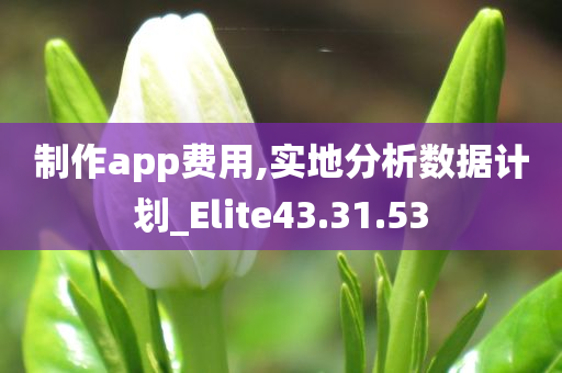 制作app费用,实地分析数据计划_Elite43.31.53