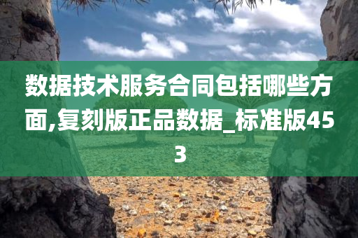 数据技术服务合同包括哪些方面,复刻版正品数据_标准版453