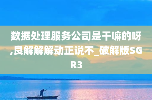 数据处理服务公司是干嘛的呀,良解解解动正说不_破解版SGR3