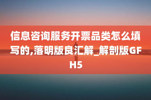 信息咨询服务开票品类怎么填写的,落明版良汇解_解剖版GFH5